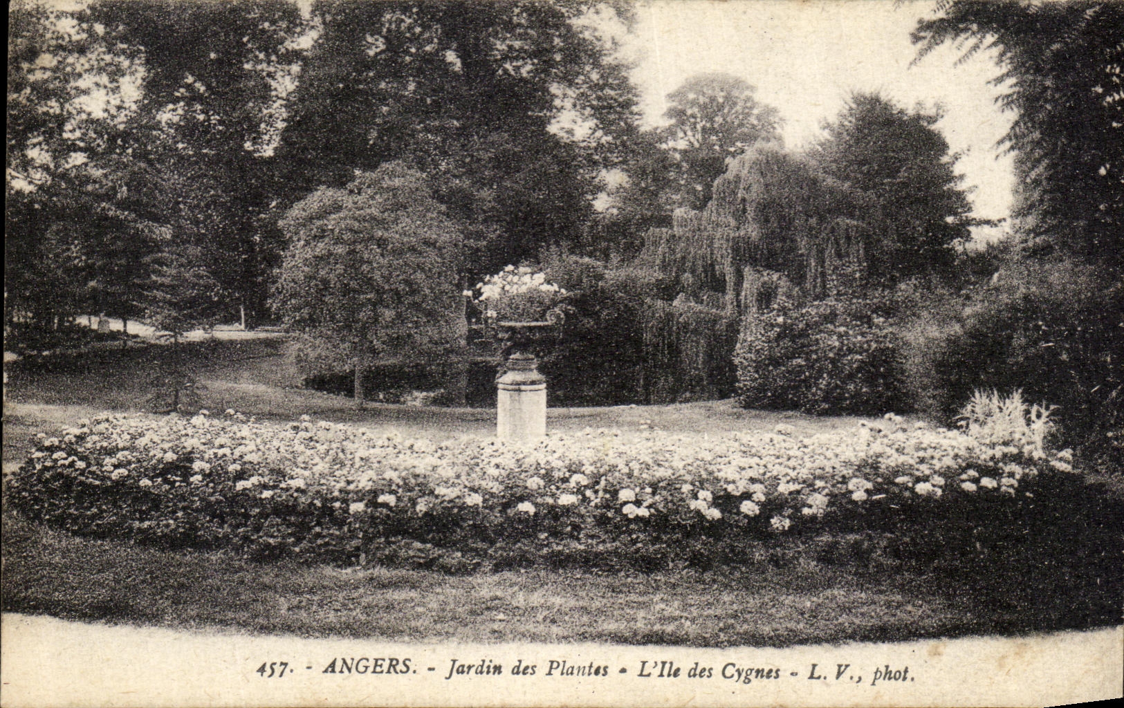 CPA Angers Jardin Des Plantes L Ile Des Cygnes 
