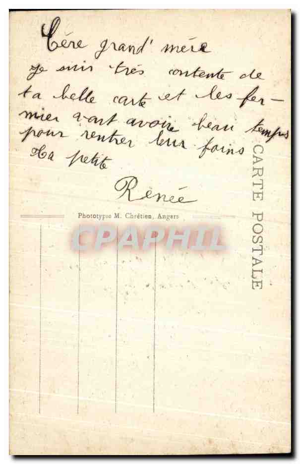 CPA Angers Jardin Des Plantes L Ile Des Cygnes  — Rückseite
