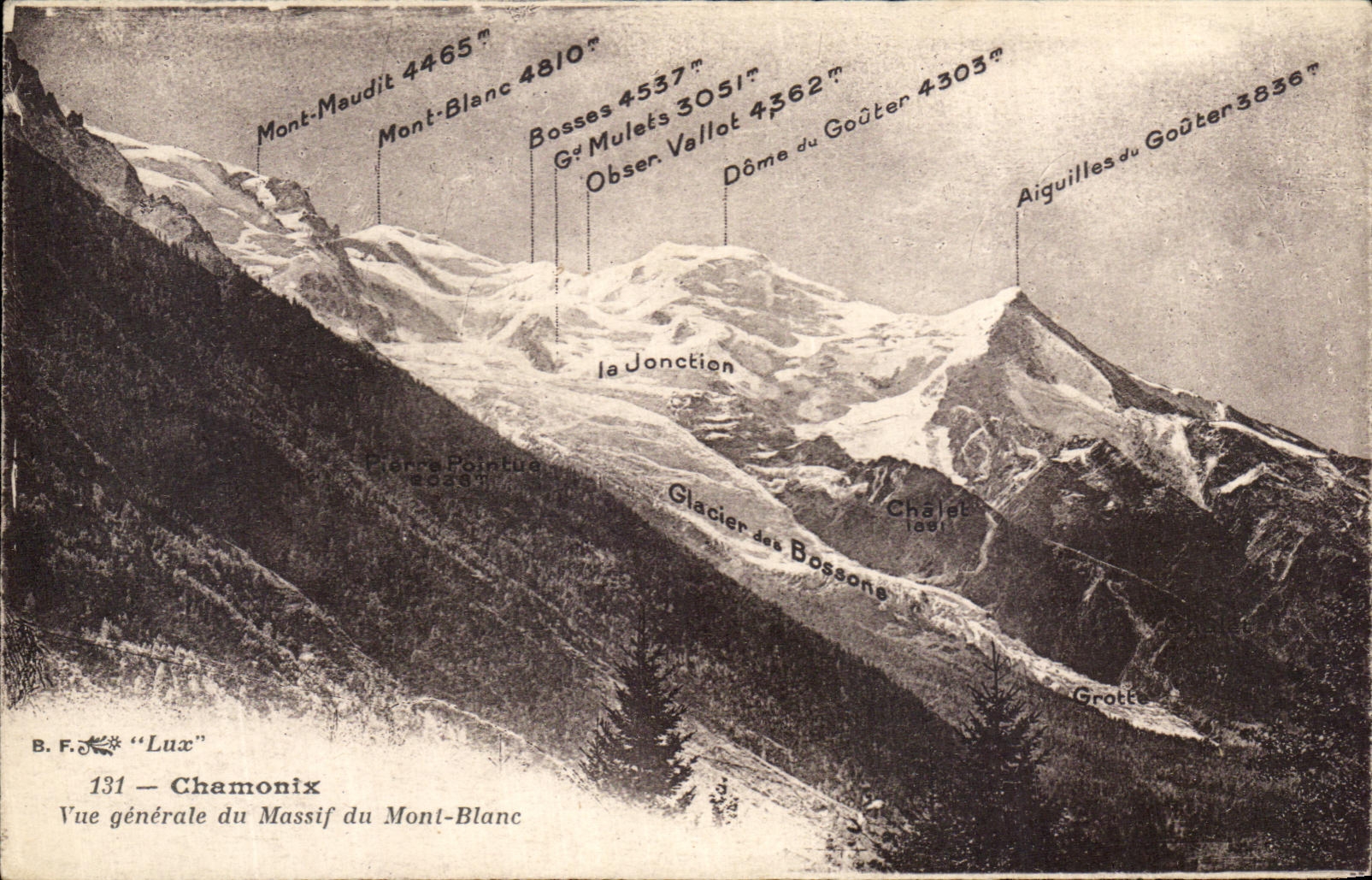 CPA Chamonix Vue Generale Du Massif du Mont Blanc 