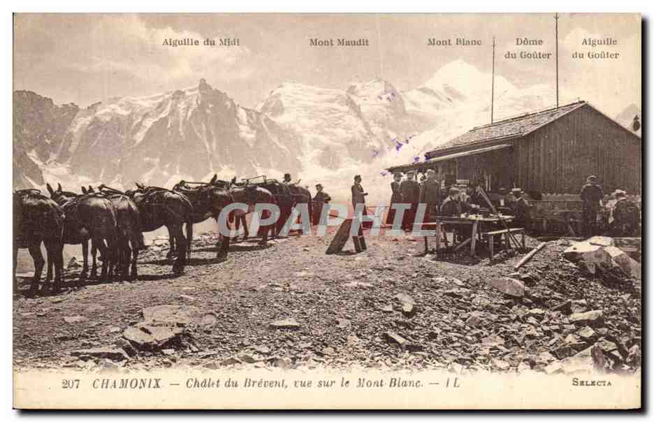 CPA Chamonix Chalet Du Brevent Vue Sur Le Mont Blanc Anes Chevaux 