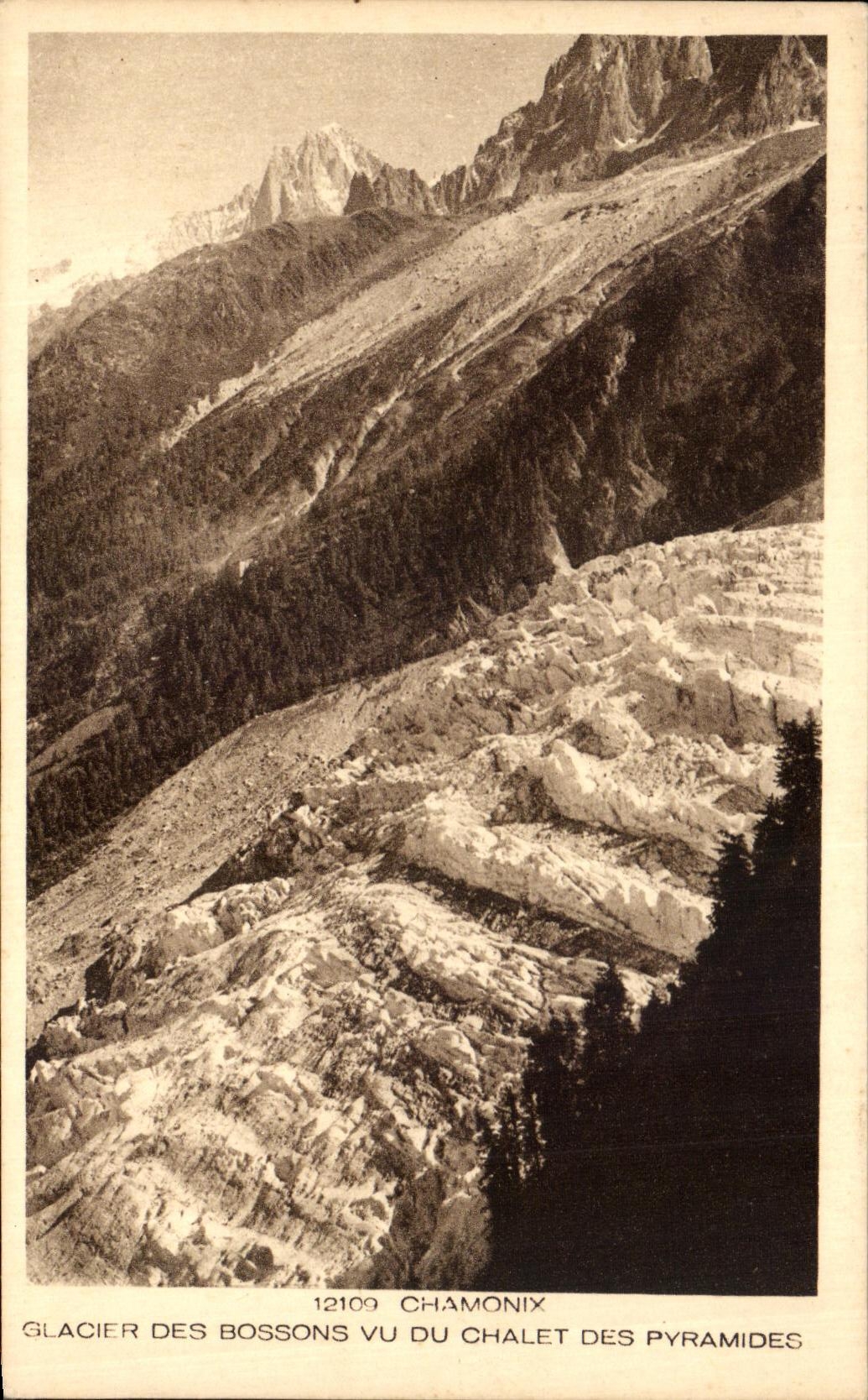 CPA Chamonix Glacier Des Bossons Vu Du Chalet Des Pyramides 