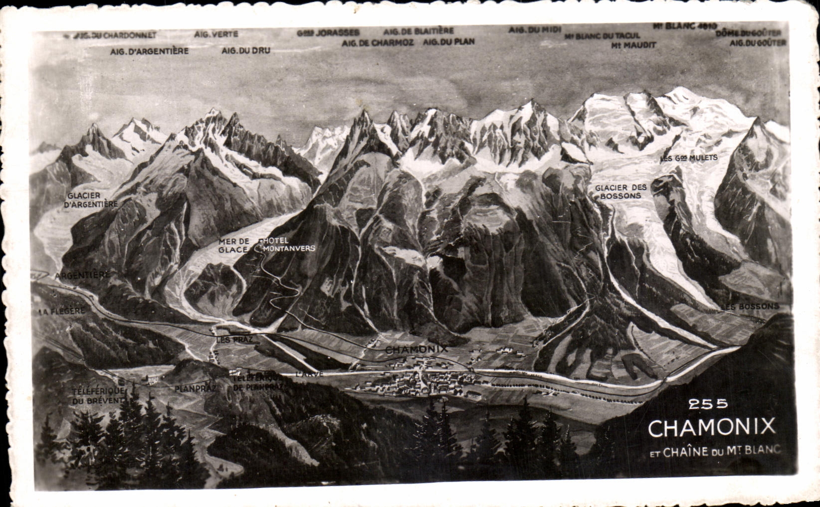 CPA Chamonix Chaine Mt Blanc 