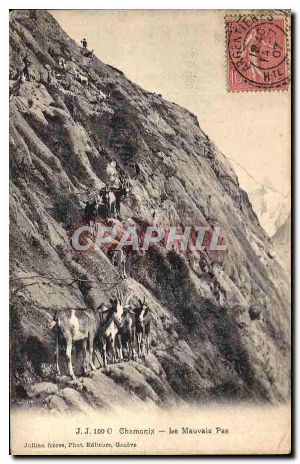 Antike Ansichtskarte Chamonix Der Schlechte Schritt Ziegen Ziege