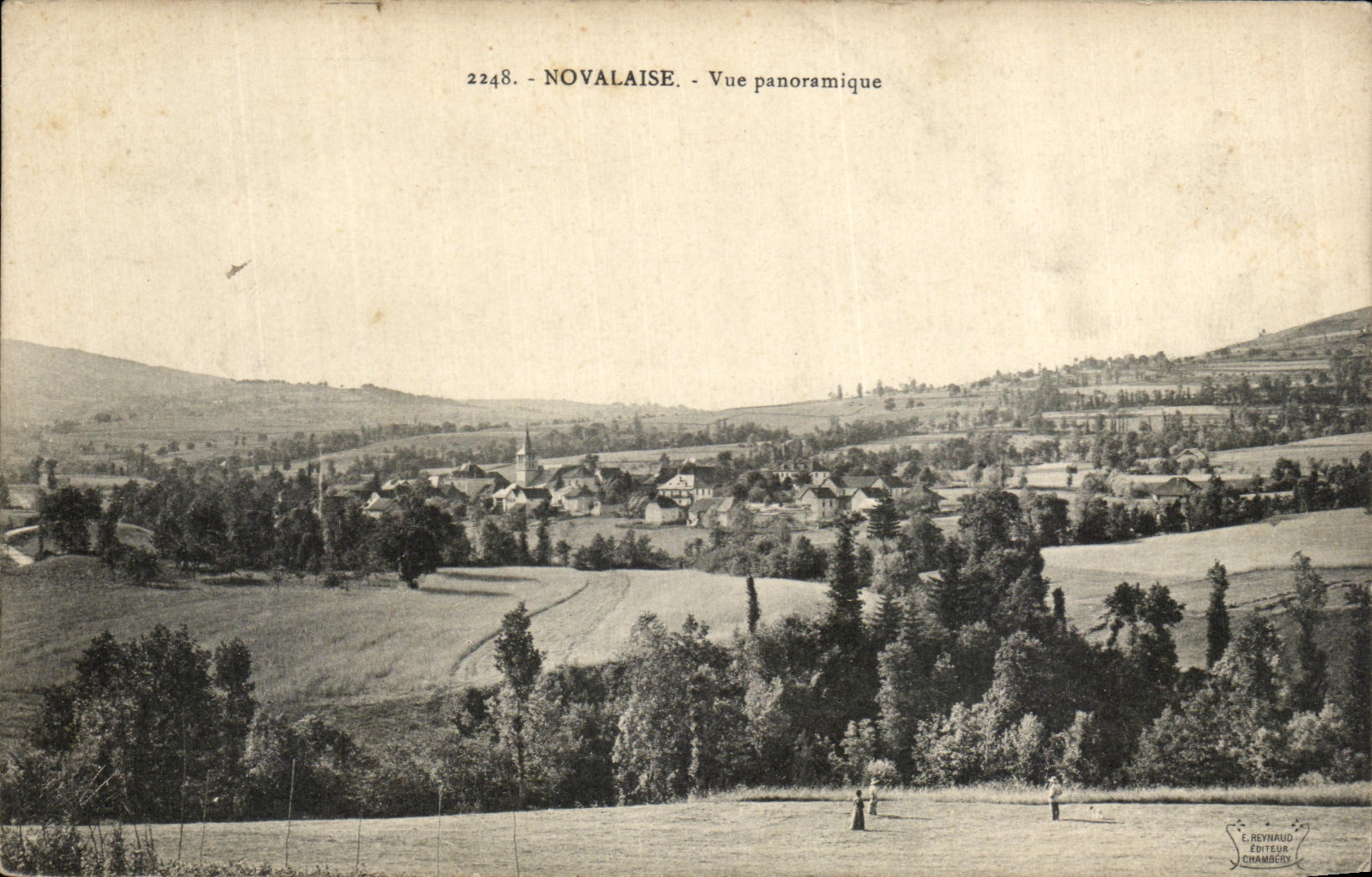 CPA Novalaise Vue Panoramique