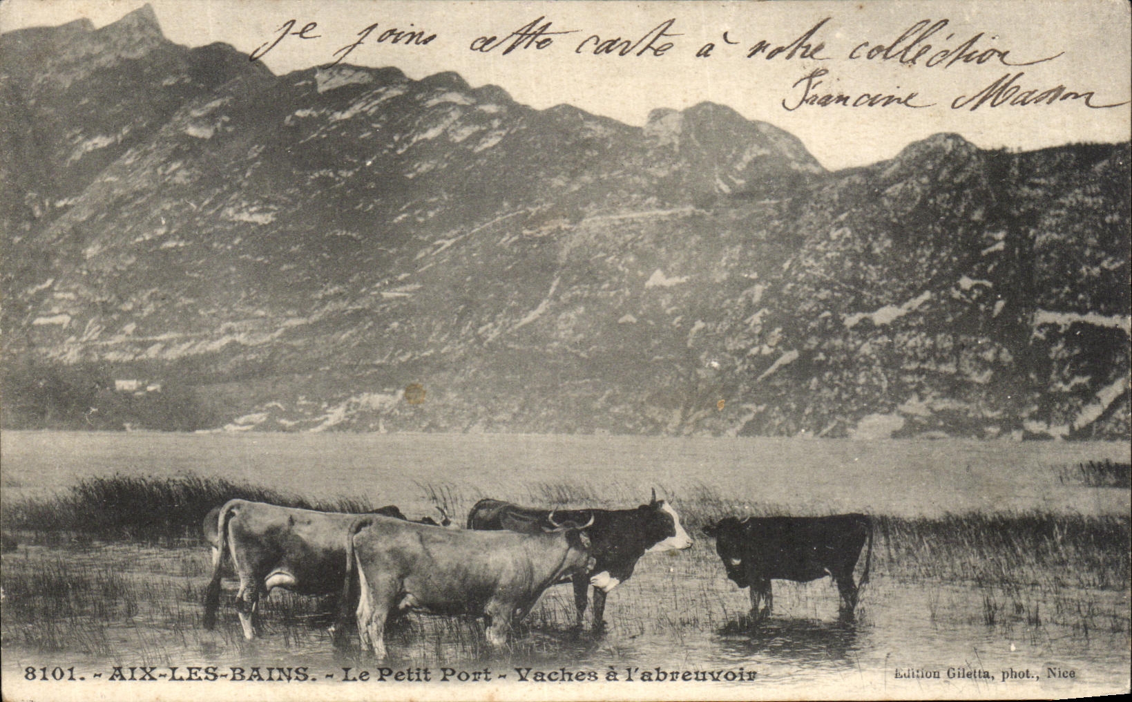 CPA Aix les Bains Le Petit Port Vaches a l abreuvoir 