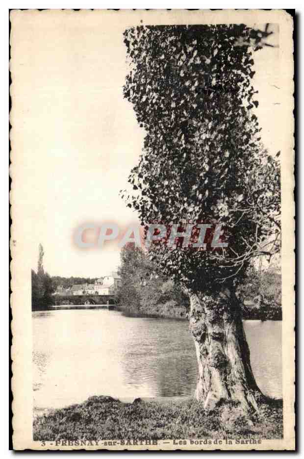 CPA Fresnay sur Sarthe Les bords de la Sarthe