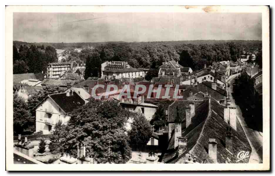 CPA Luxeuil les Bains Panorama Vers le Parc