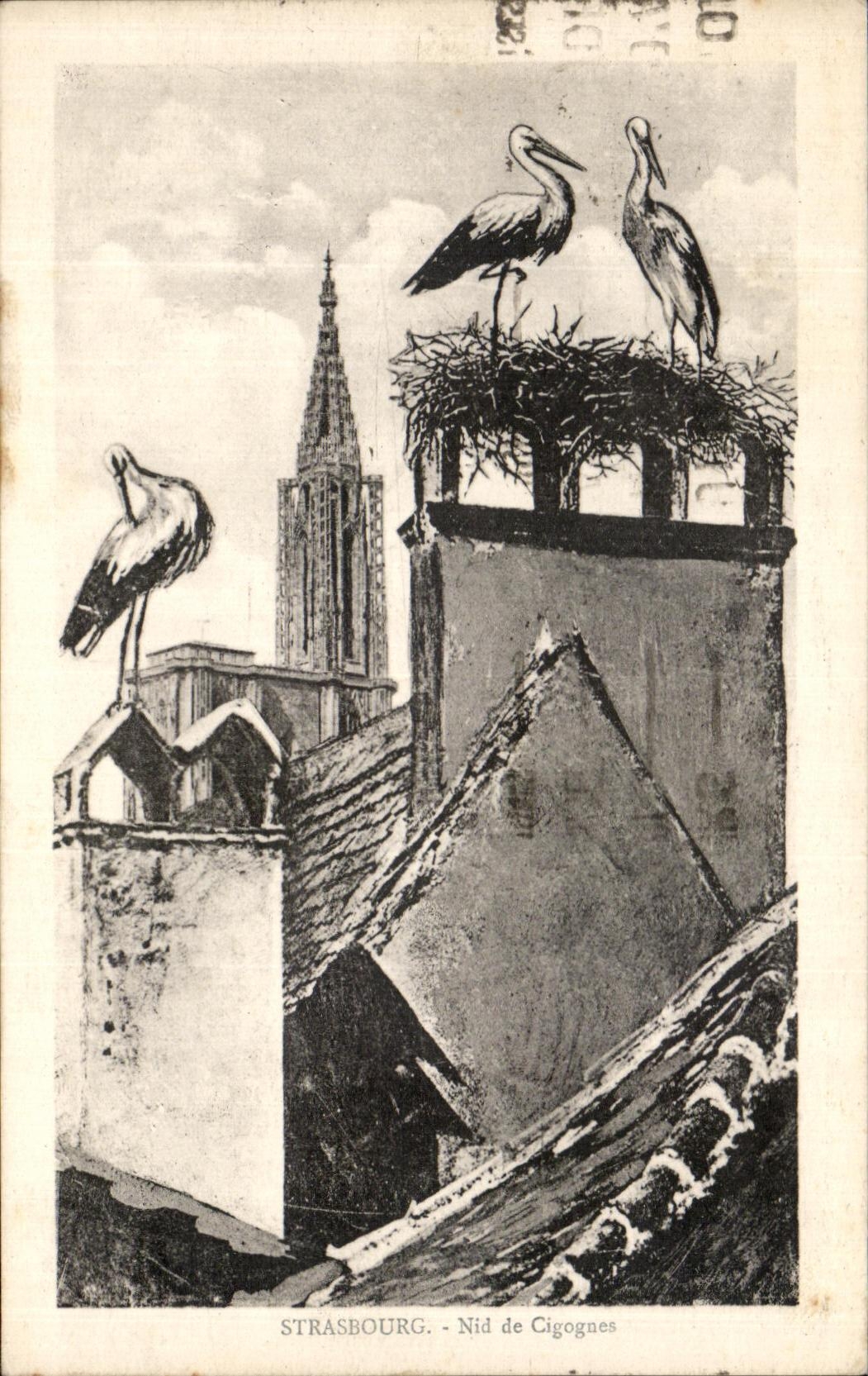 CPA Strasbourg Nid de Cigognes