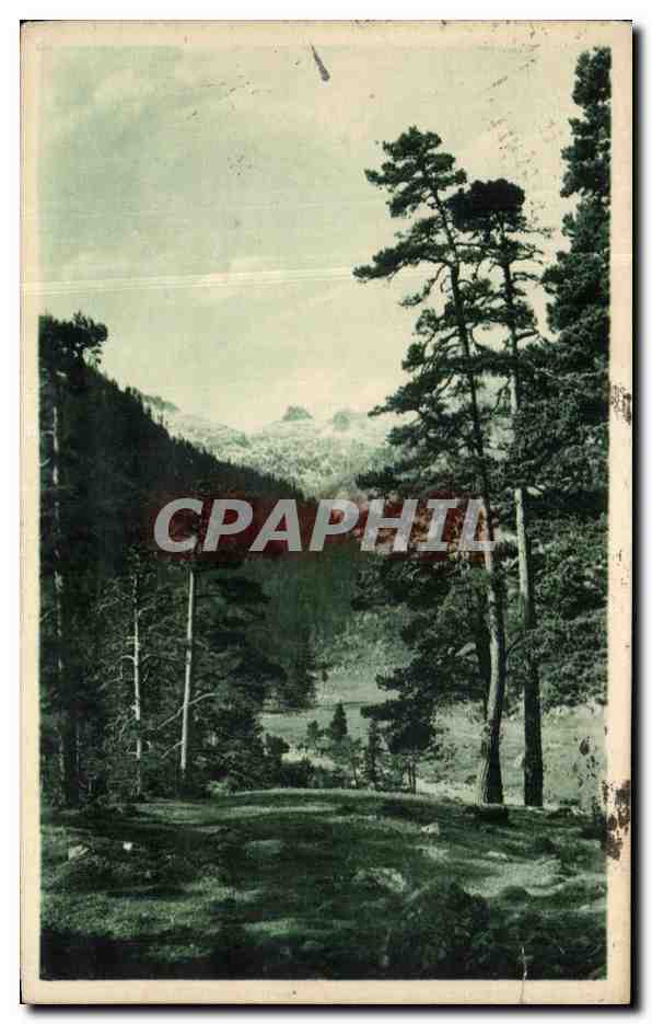 CPA Cauterets Paysage dans la Vallee de Marcadau