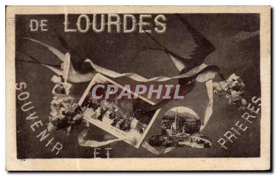 CPA Lourdes De Souvenir Hirondelle Oiseau