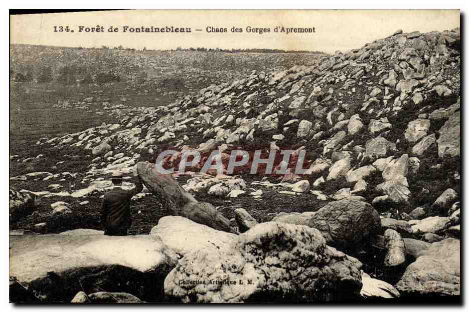 Wald von Fontainebleau — Chaos der Schluchten von Apremont — Künstlerische Sammlung L. M. Nr. 134