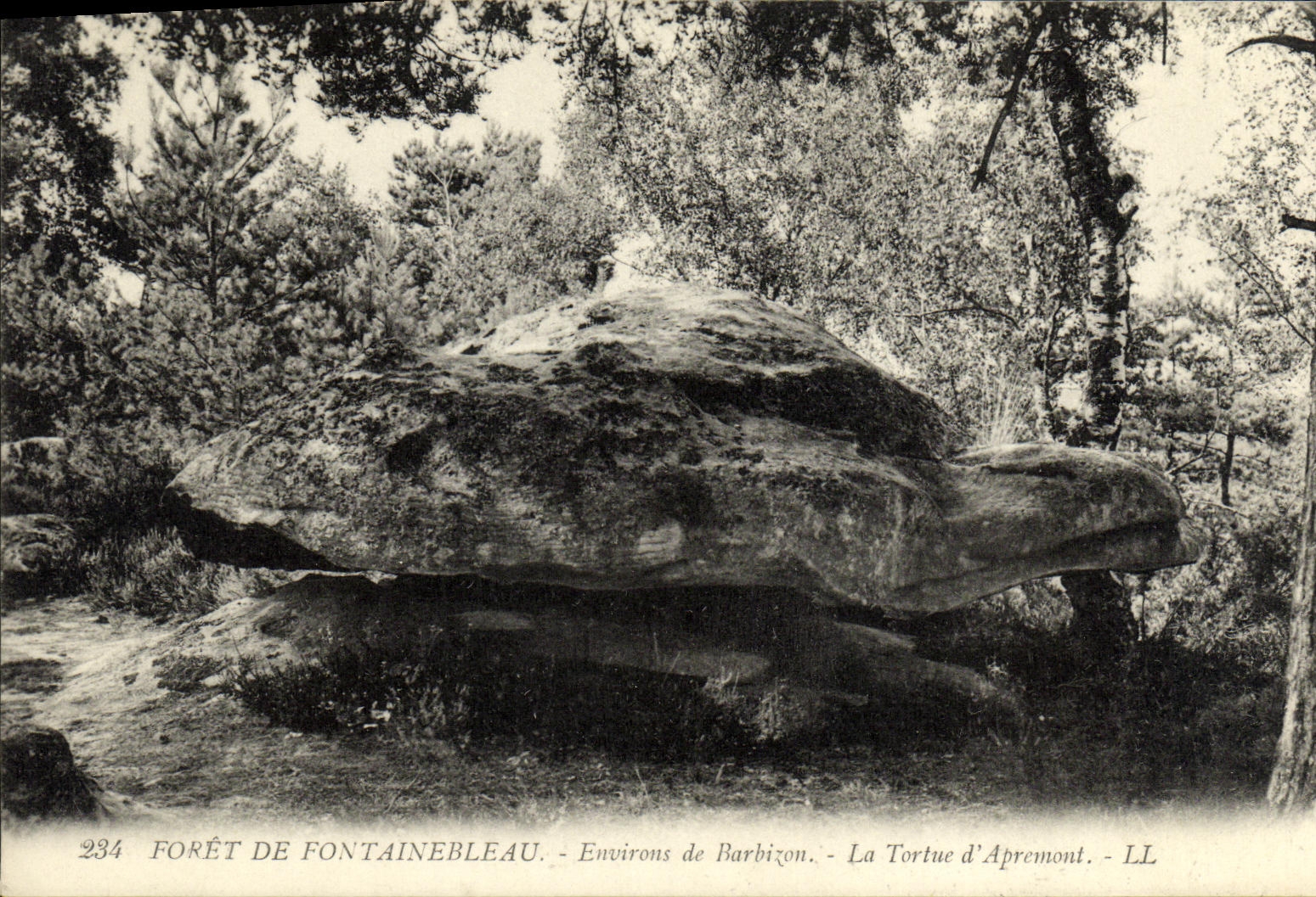 Bosque de Fontainebleau — Alrededores de Barbizon — La Tortuga de Apremont — LL — n°234
