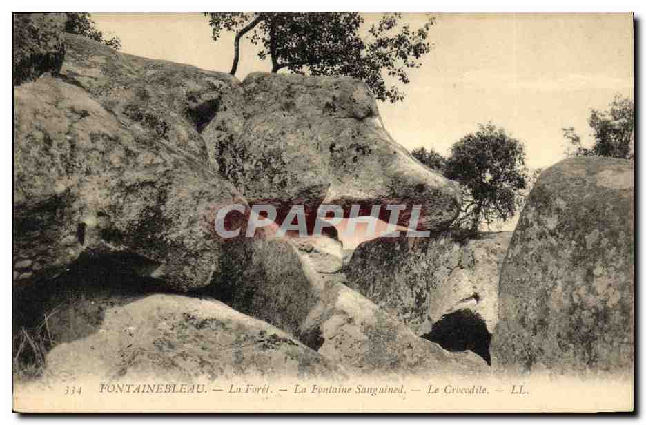 Fontainebleau — Die Wälder — La Fontaine Sanguinée — Der Krokodil — LL. — n° 334
