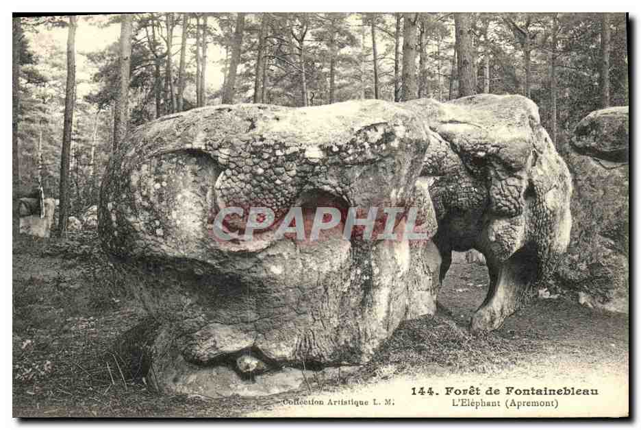 Forêt de Fontainebleau — L'Éléphant (Apremont) — Collection Artistique L. M., n° 144