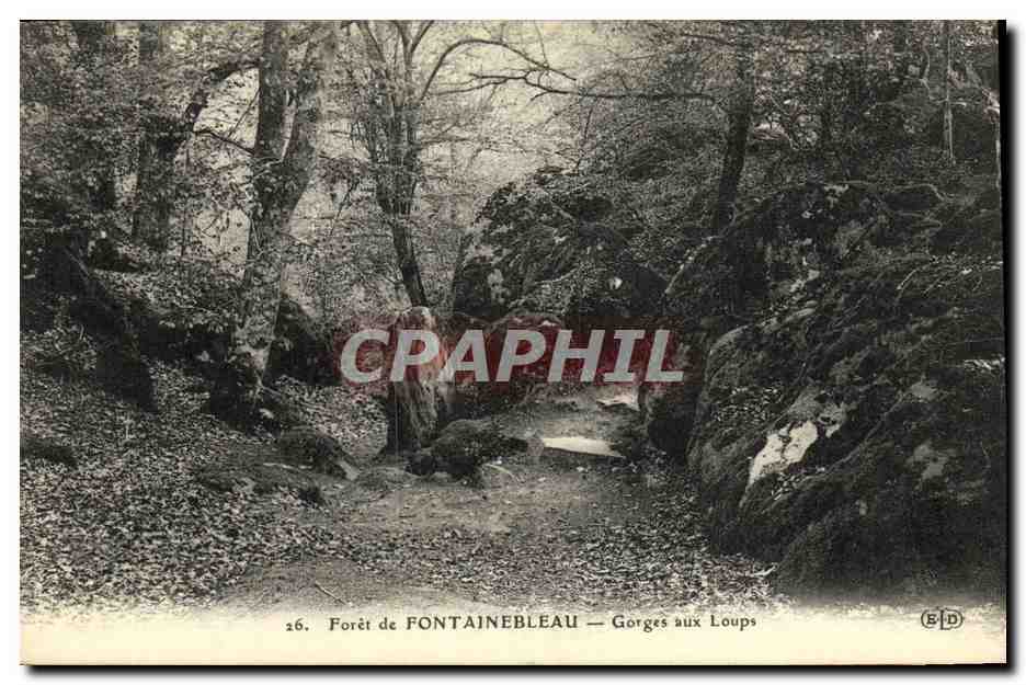 Foresta di FONTAINEBLEAU — Gole dei Lupi — E.D.