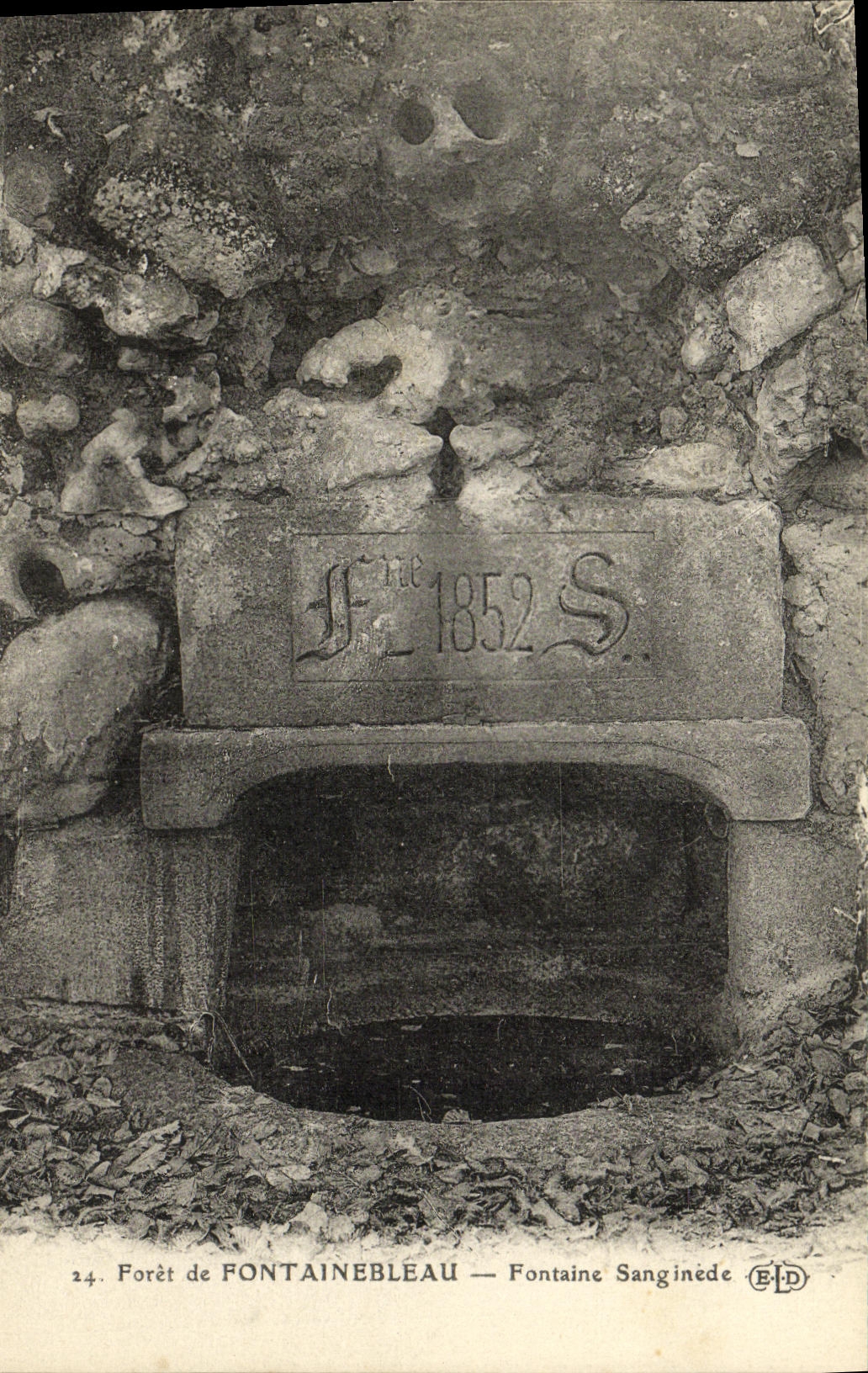 Bosque de FONTAINEBLEAU — Fuente Sanginédé — Editor ELD, n°24