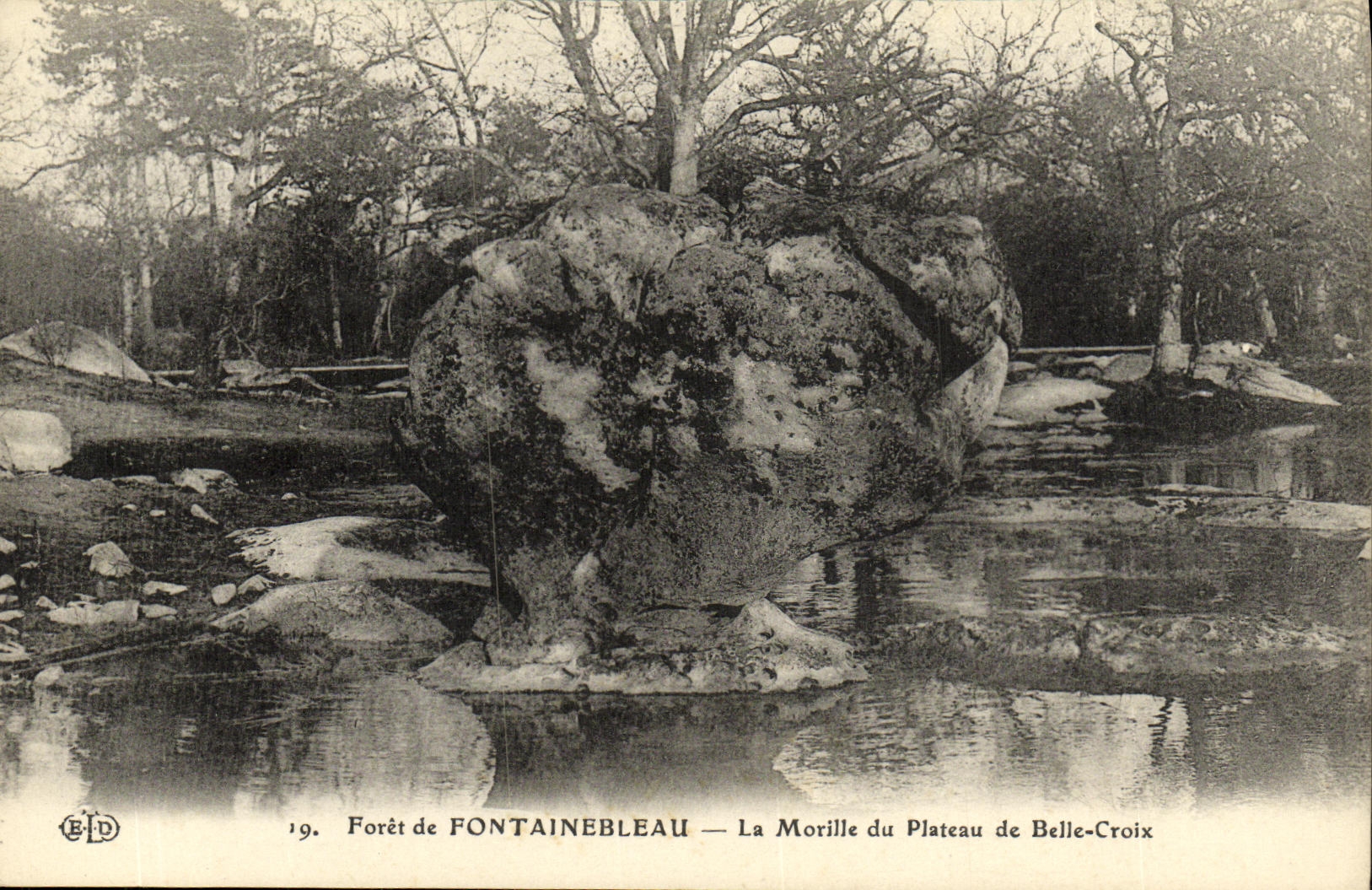 Foresta di FONTAINEBLEAU — La Morille del Plateau de Belle-Croix