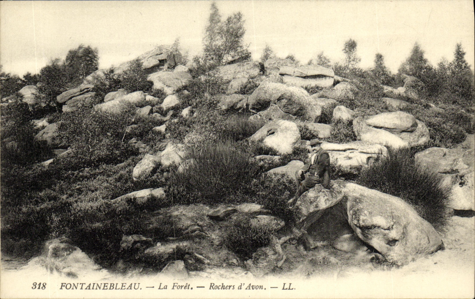 Fontainebleau — La Forêt — Rochers d'Avon — LL. — n° 318