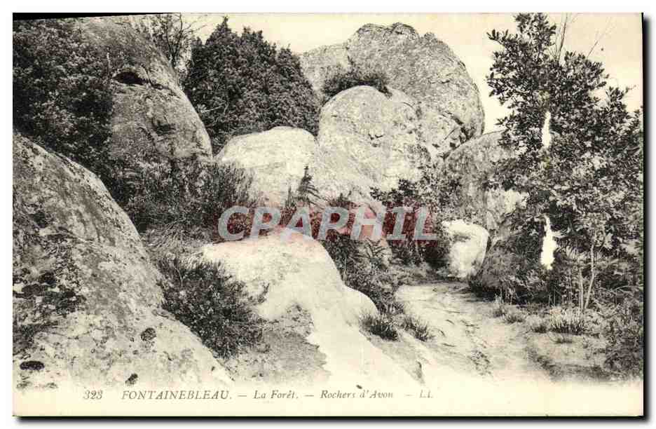 Fontainebleau — Die Forêt — Rochers d'Avon — L.I. — Nr. 323
