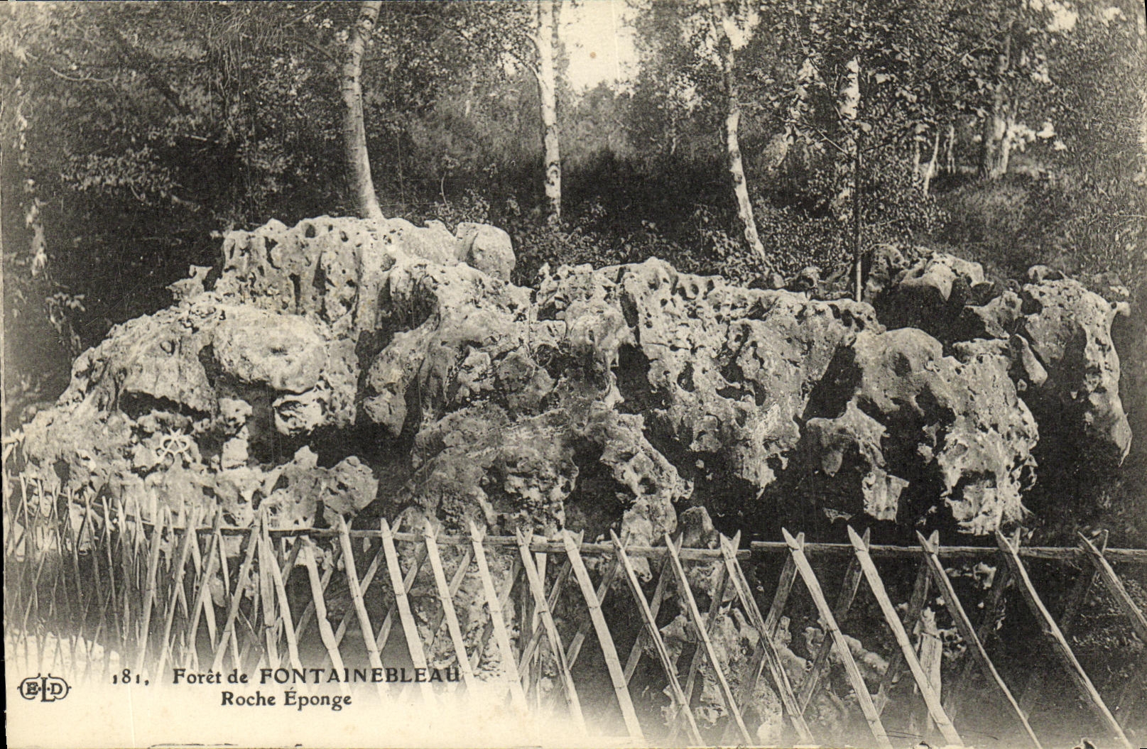 Foresta di FONTAINEBLEAU — Roche Éponge — Editore BPD, n° 181