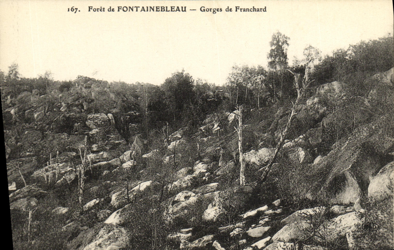 Forêt de FONTAINEBLEAU — Gorges de Franchard — Éditeur non identifié, n° 167