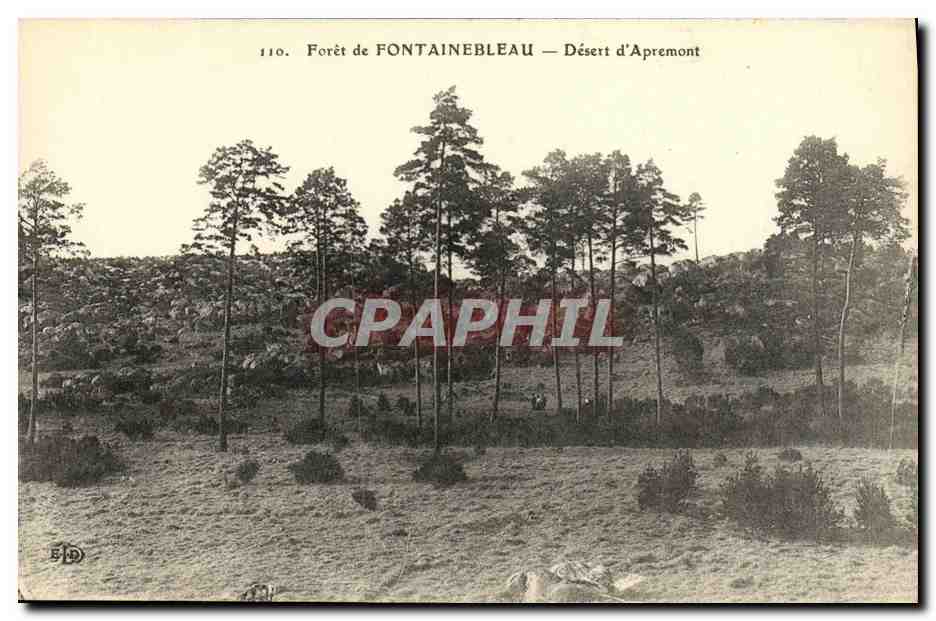 Woud van FONTAINEBLEAU — Désert d'Apremont — Uitgever EID, nr. 110