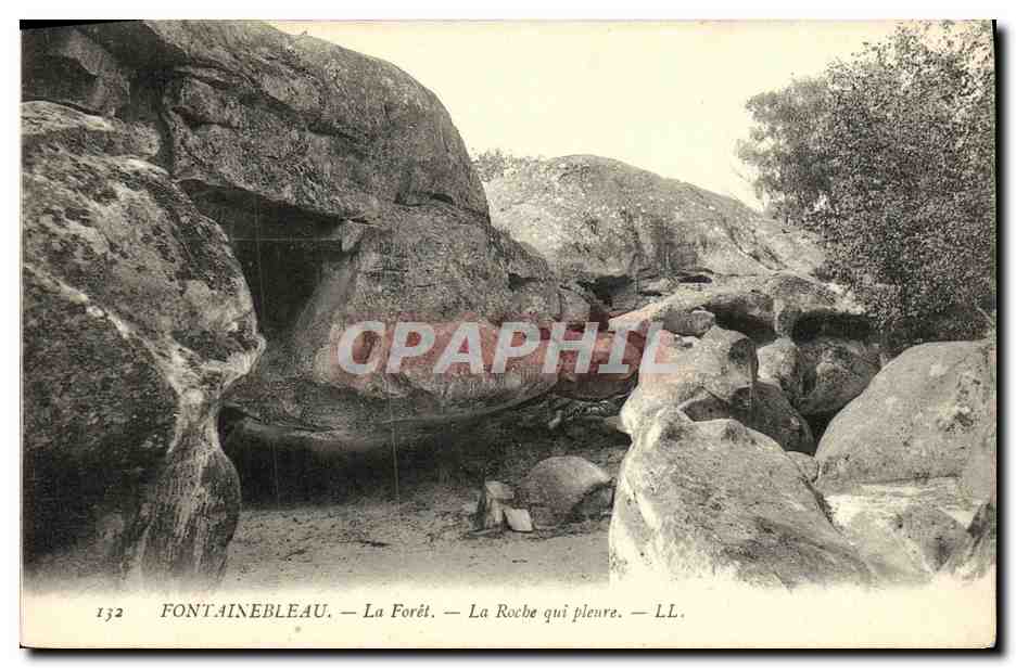 Fontainebleau — De Bos — De Huilende Roek — LL. — n° 132