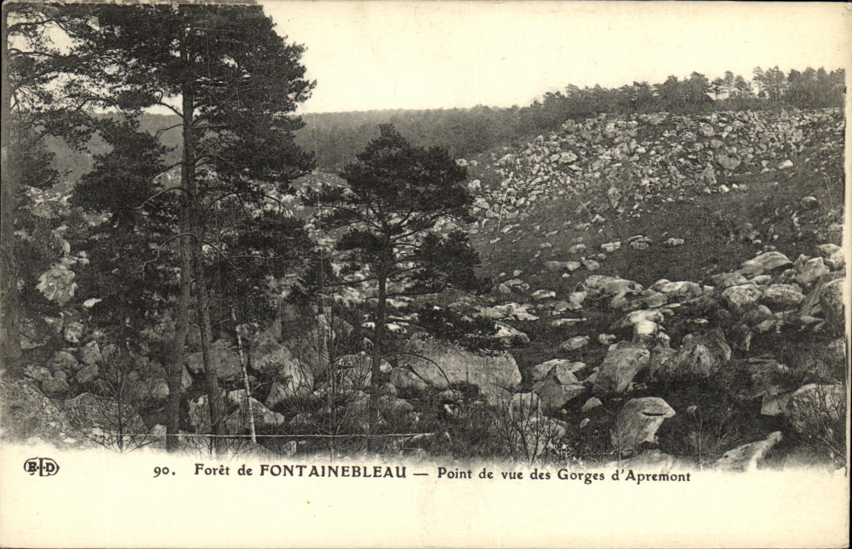 Foresta di FONTAINEBLEAU — Vista delle Gorge d'Apremont — CPAPHIL n°90