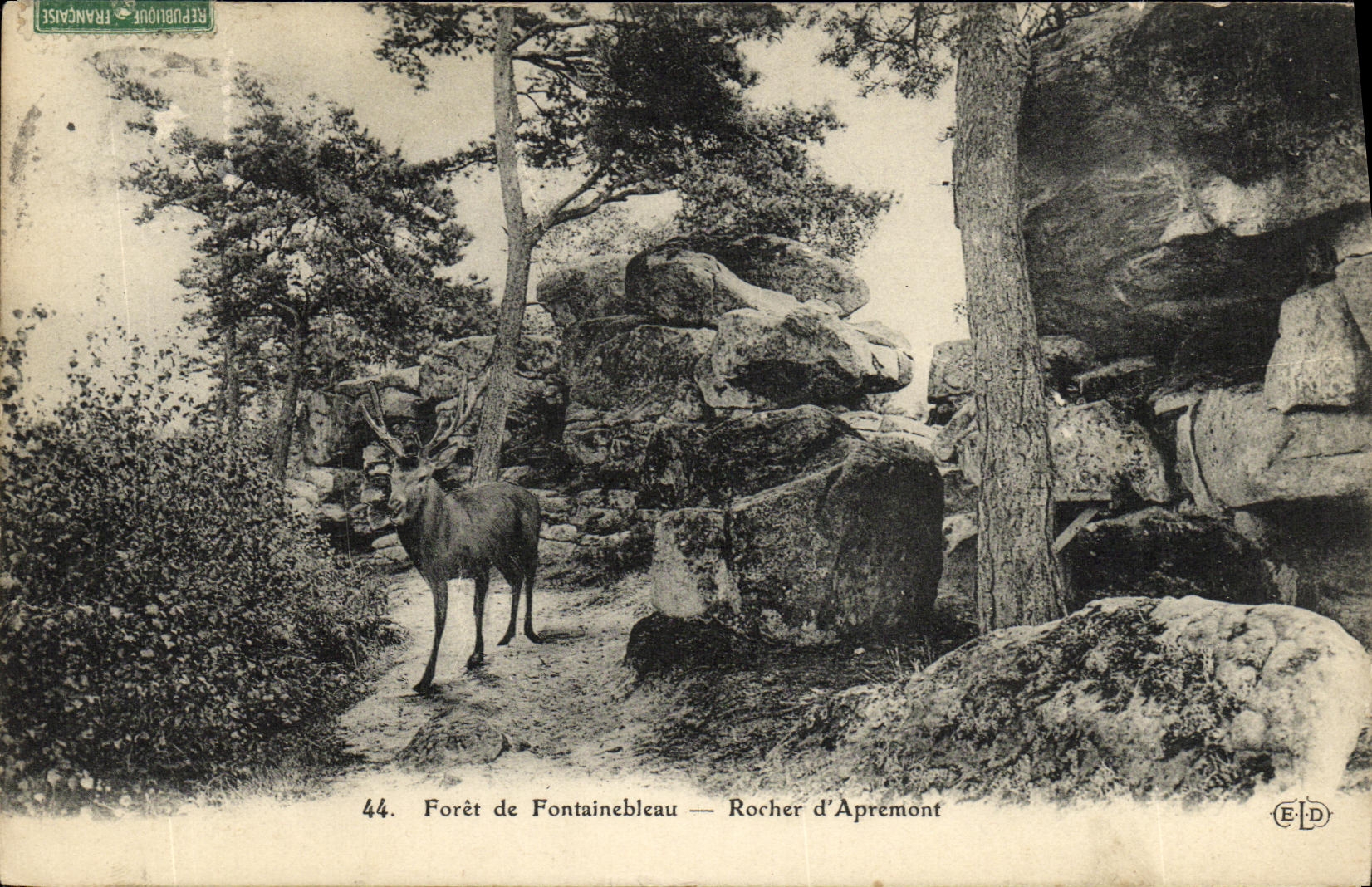Bosque de Fontainebleau — Roche d'Apremont — E.D. n°44