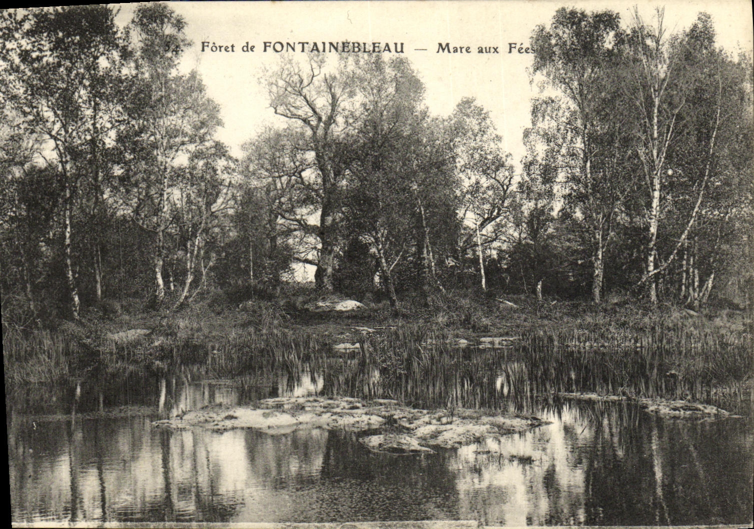 Forêt de FONTAINEBLEAU — Mare aux Fées