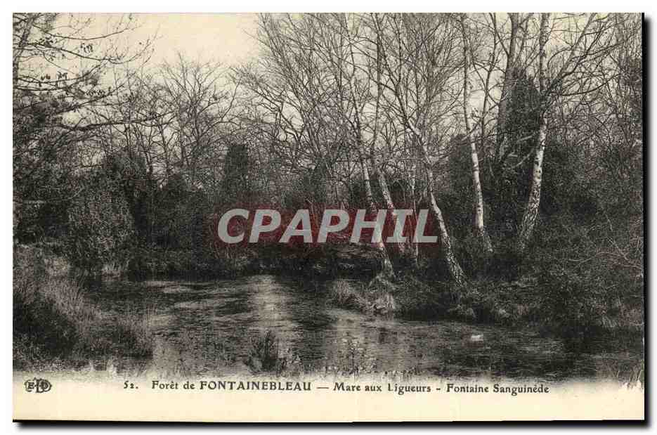 Forêt de FONTAINEBLEAU — Mare aux Ligueurs - Fontaine Sanguinédée