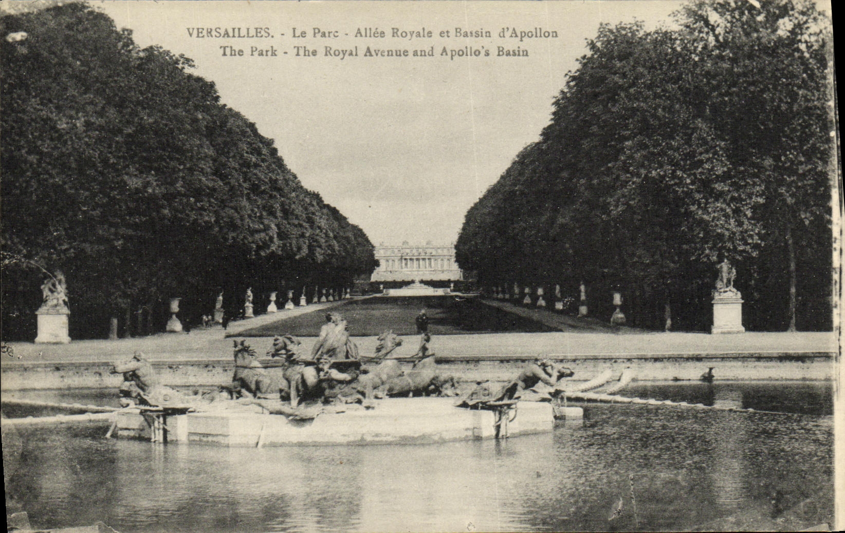CPA Versailles Le Parc Allee Royale et bassin d Apollon
