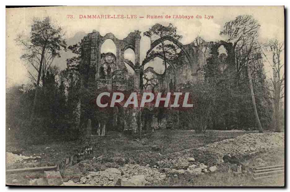 CPA Dammarie Les Lys Ruines de L Abbaye du Lys