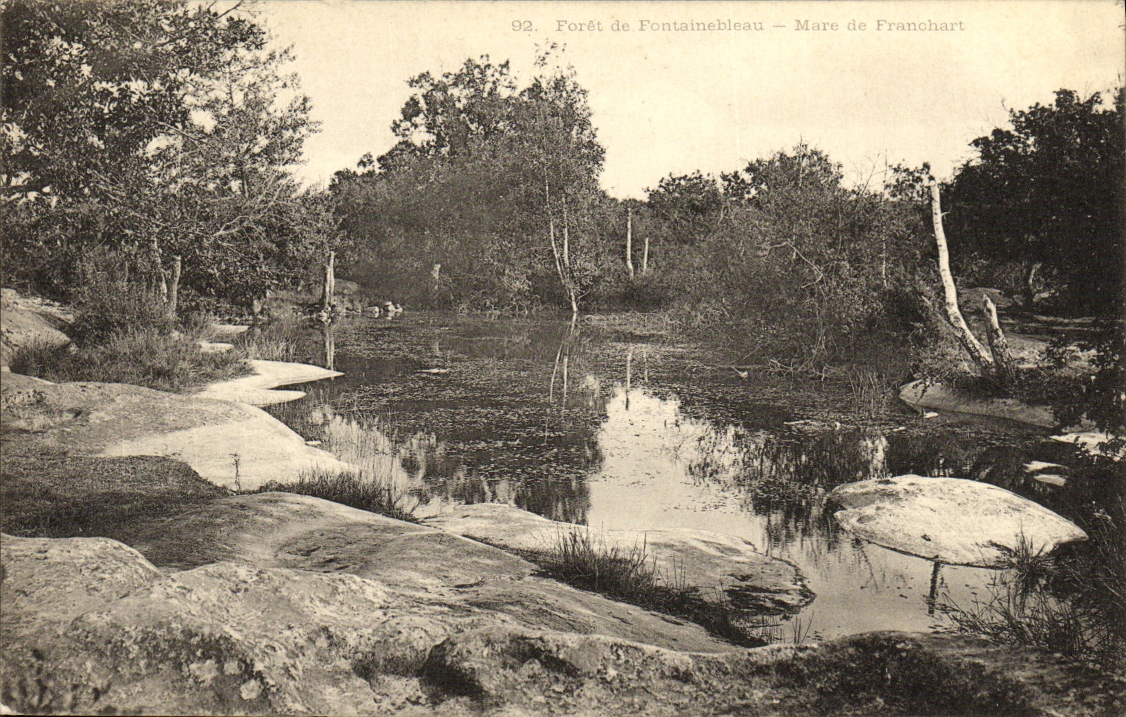 Bosque de Fontainebleau — Mare de Franchart — n°92