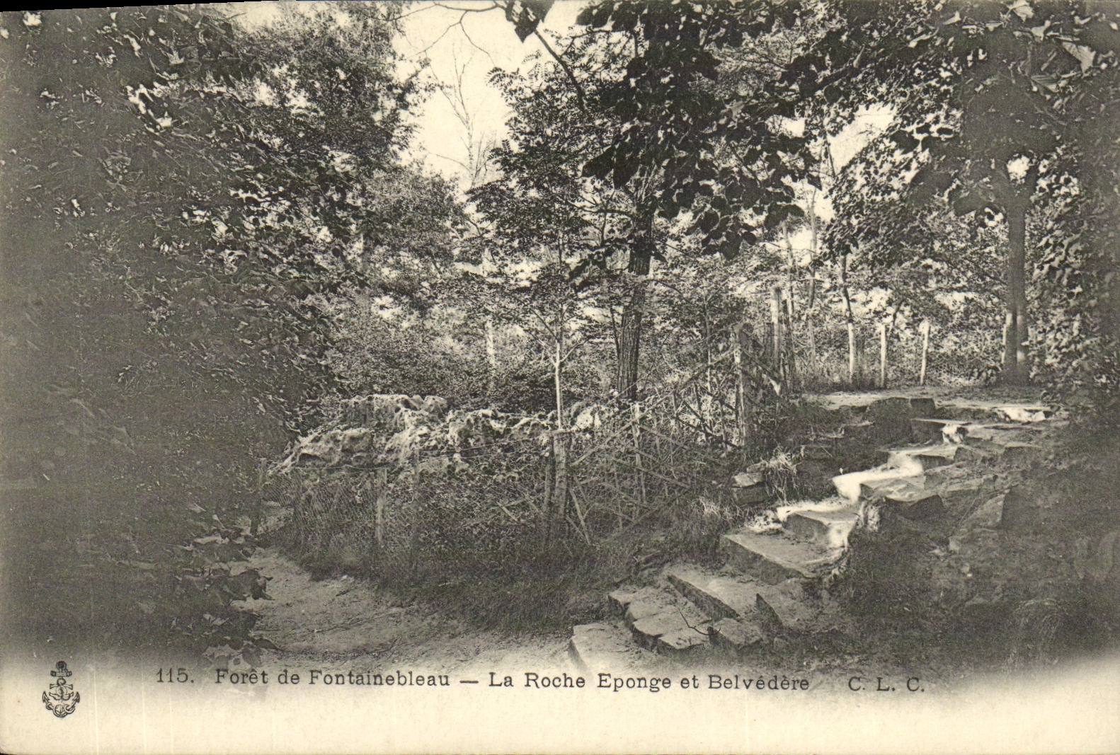 Foresta di Fontainebleau — La Roche Eponge e Belvedere — C.L.C. — n°115