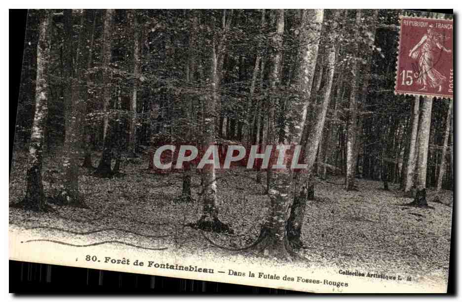 Foresta di Fontainebleau — Nella Futale des Fosses-Rouges — Collezione Artistica L. 80