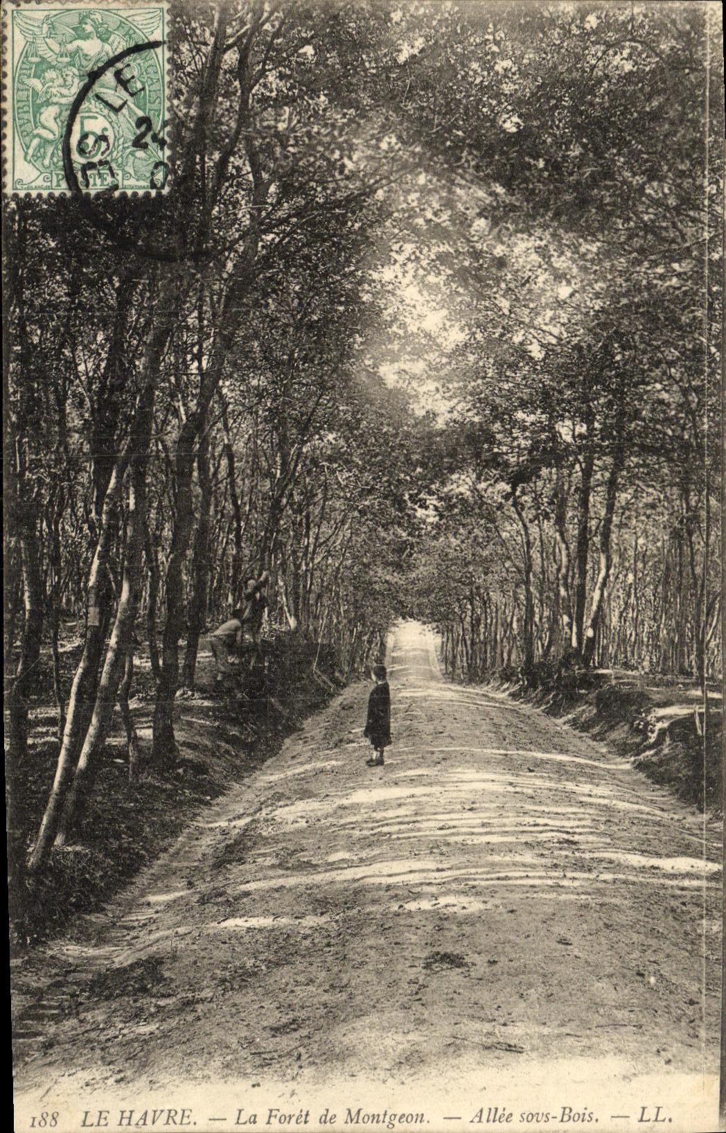 CPA Le Havre La Foret de Montgeon Allee sous bois