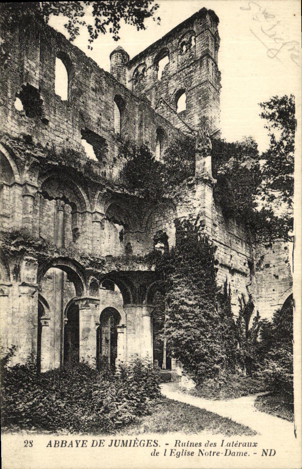Abbaye de Jumièges — Ruines des Latéraux de l'Église Notre-Dame — n°28
