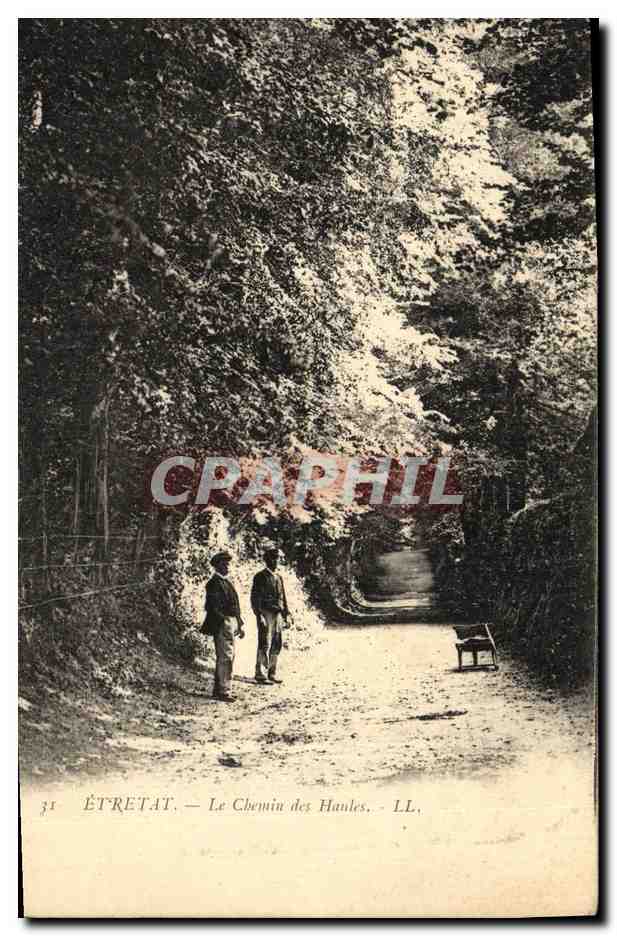 CPA Etretat Le Chemin des Haules