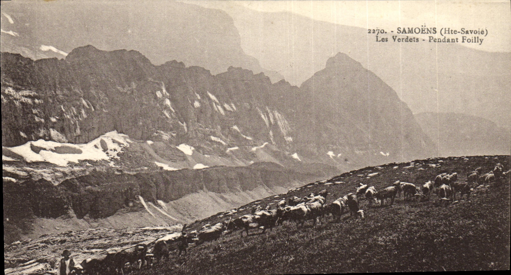 CPA Samoens Les Verdets Pendant Foilly Berger Vaches 
