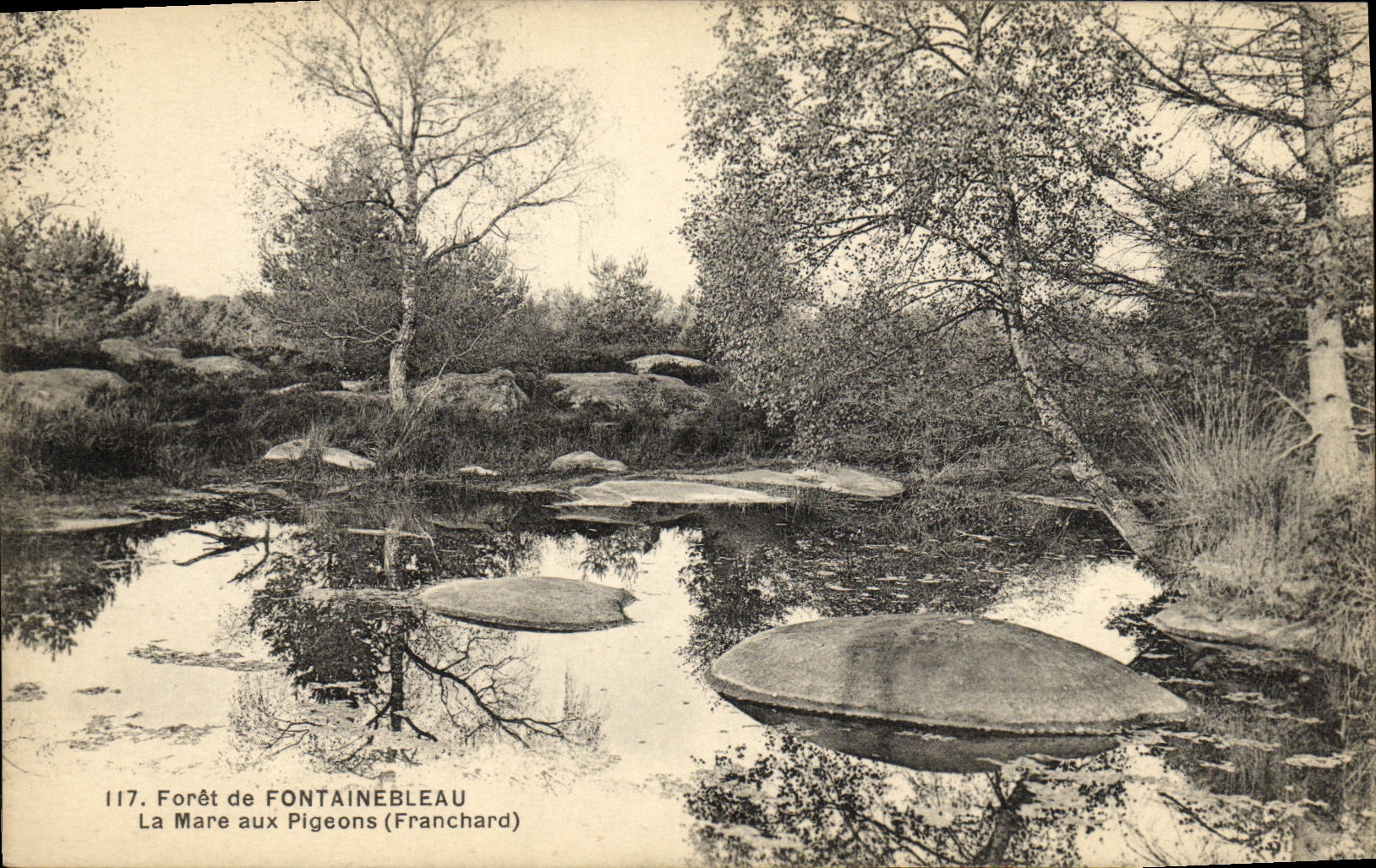 Forêt de Fontainebleau — La Mare aux Pigeons (Franchard) — série 117
