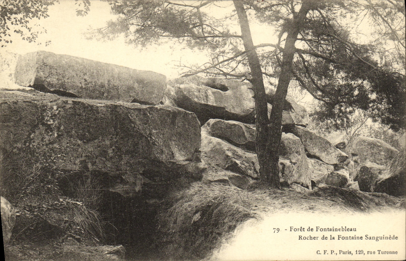 Wald von Fontainebleau — Felsen der Blutquelle — C. F. P., Paris, 129, rue Turenne