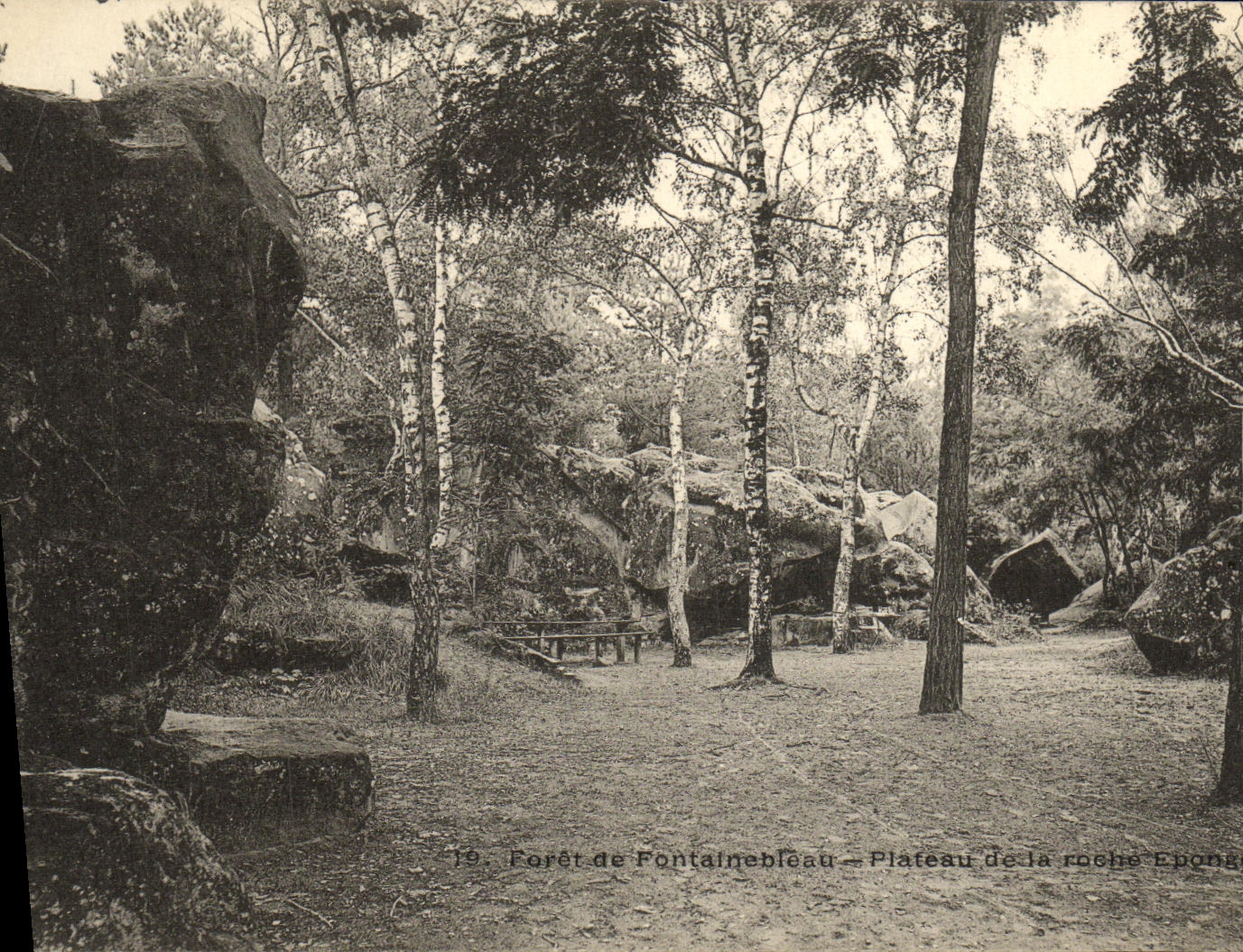 Bosque de Fontainebleau — Plateau de la Roche Eponge — n°19