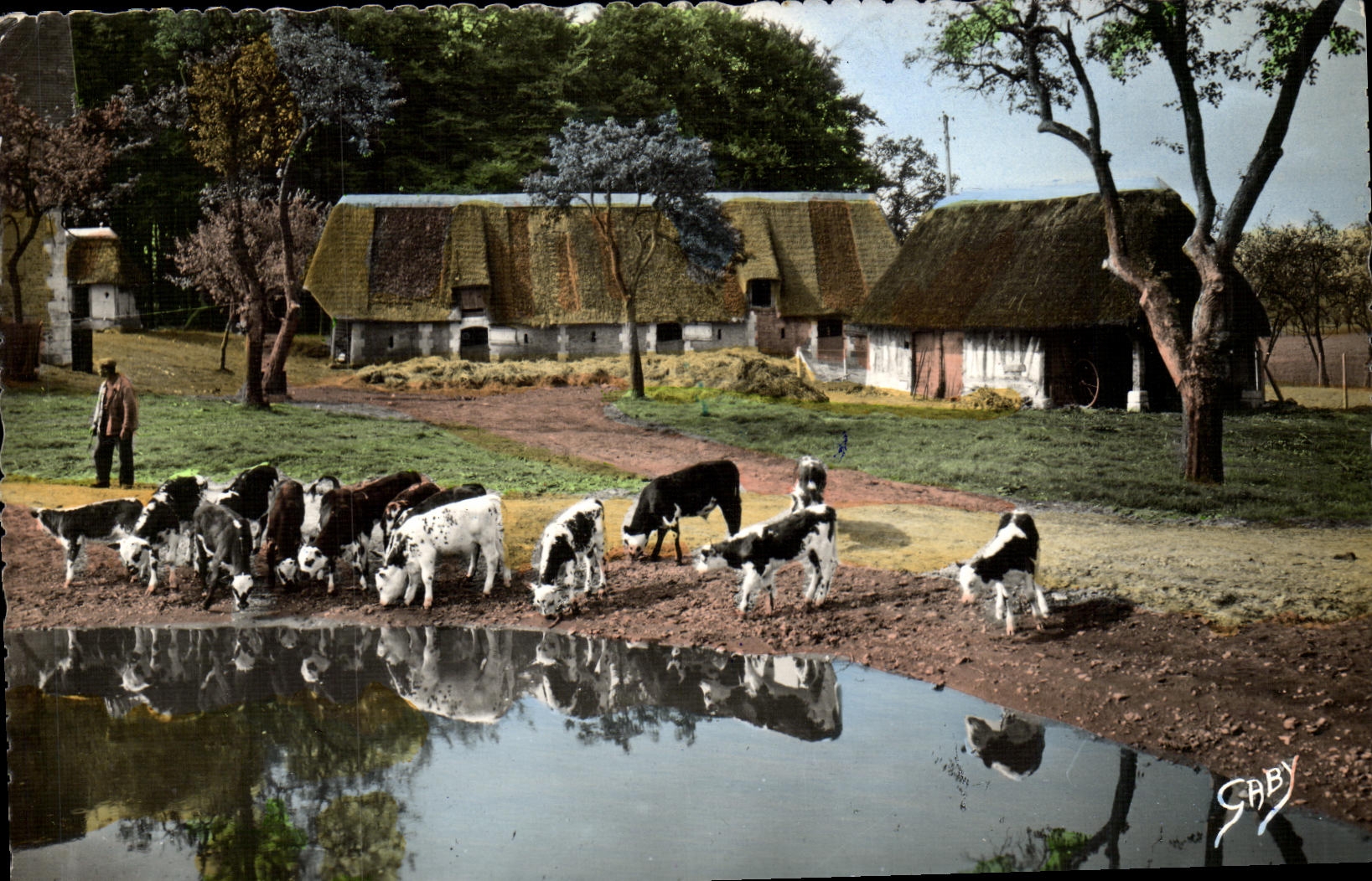 CPA La Normandie Aux abords de La Mare Vaches