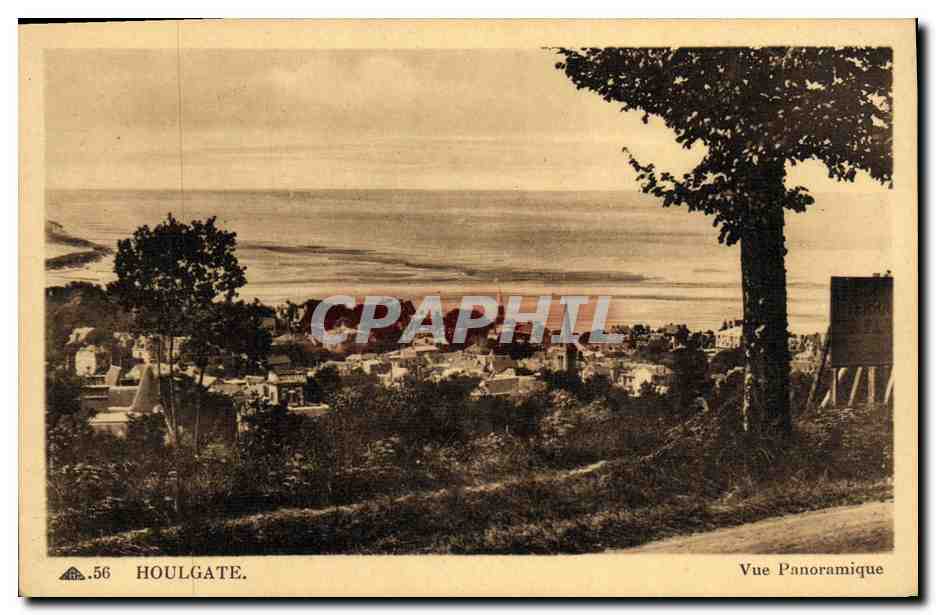 CPA Houlgate Vue Panoramique