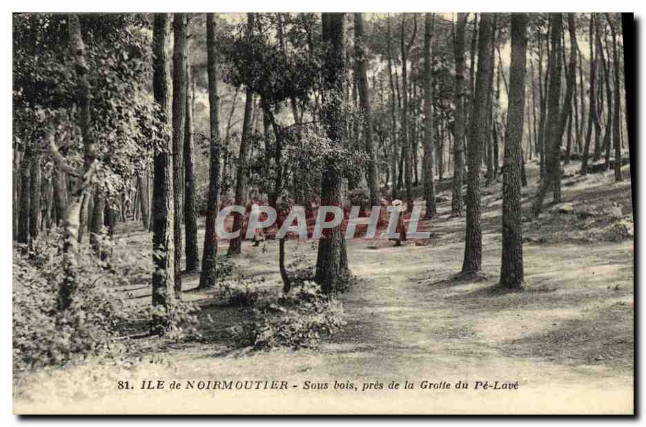 Île de Noirmoutier — Sous bois, près de la Grotte du Pé-Lavé — J. Nozais, éditeur, Nantes