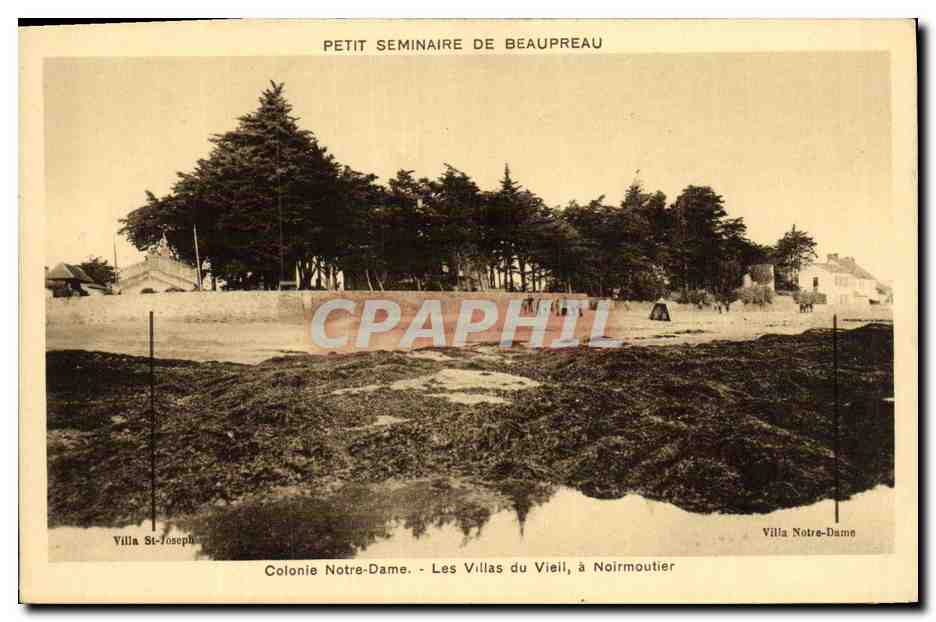 CPA Ile de Noirmoutier Les Villas du Vieil Colonie 