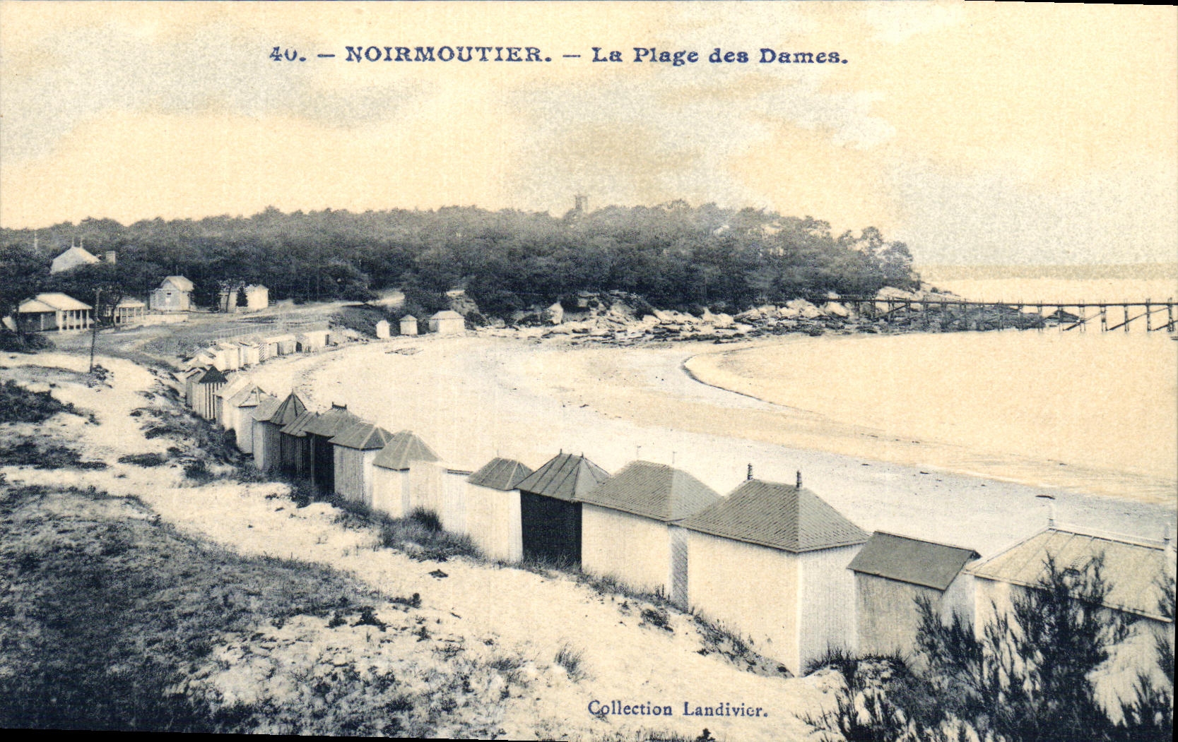 CPA Ile de Noirmoutier La Plage des Dames