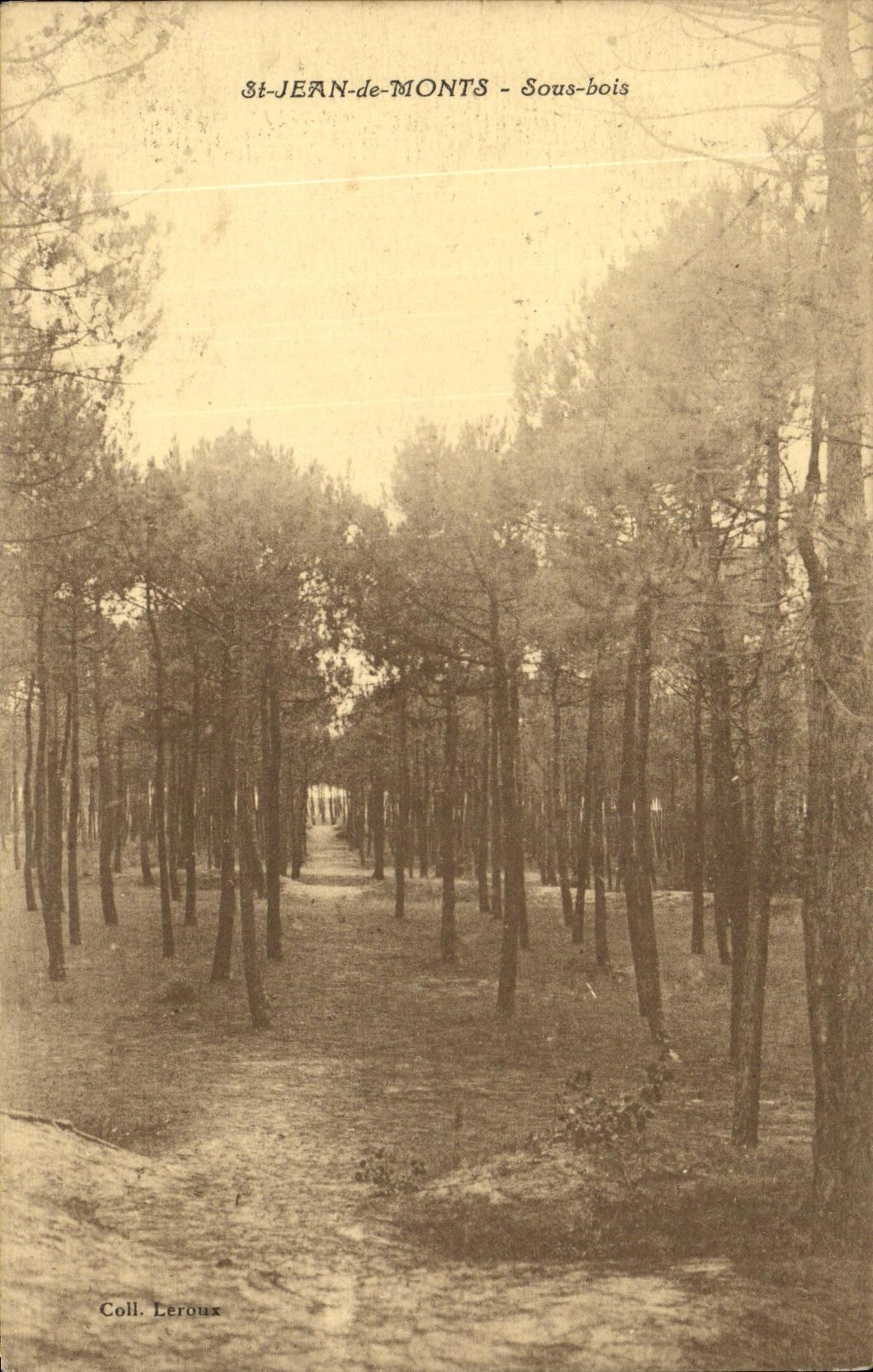St-JEAN-de-MONTS - Sous-bois — Coll. Leroux