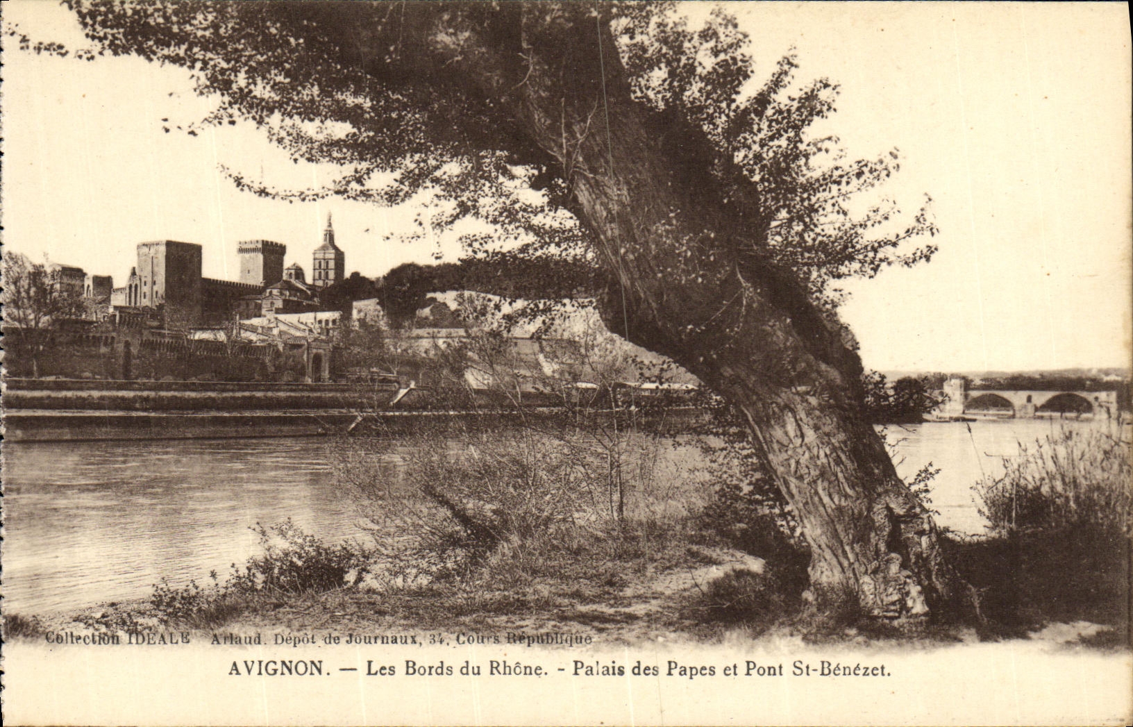 CPA Avignon Les Bords du Rhone Palais des Papes et Pont St Benezet